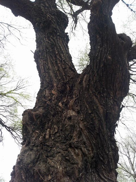 20160416_165014.jpg