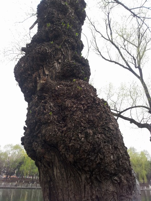 20160416_165103.jpg