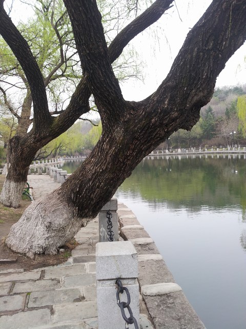 20160416_165433.jpg