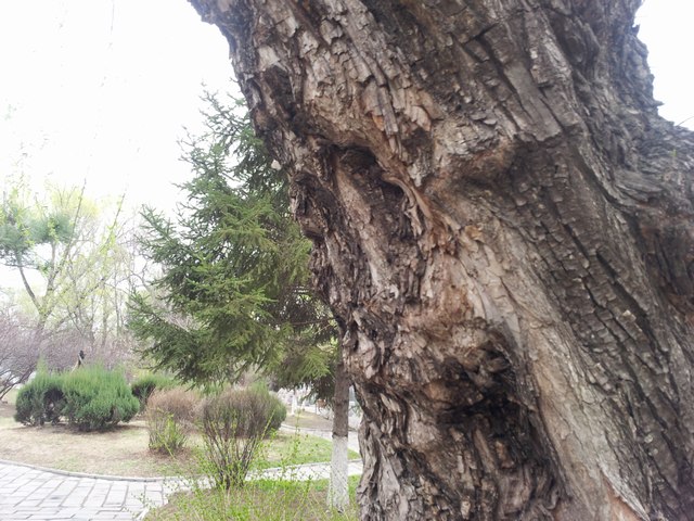 20160416_165743.jpg
