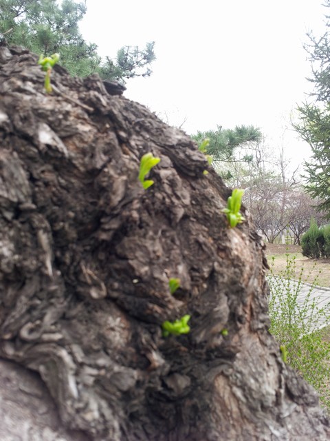 20160416_165941.jpg