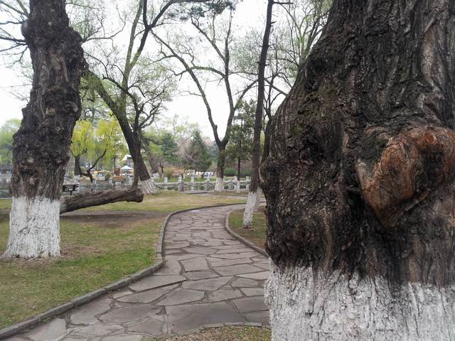 20160416_171017.jpg