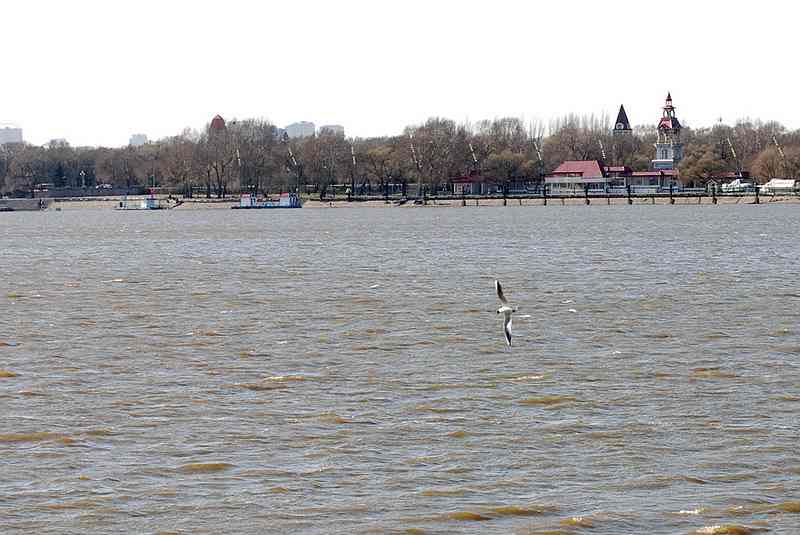 j21.jpg
