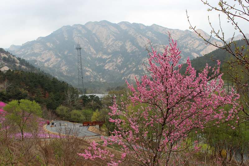 IMG_6411 - hao123ͼ.JPG