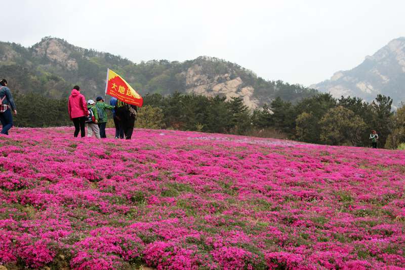 IMG_6391 - hao123ͼ.JPG