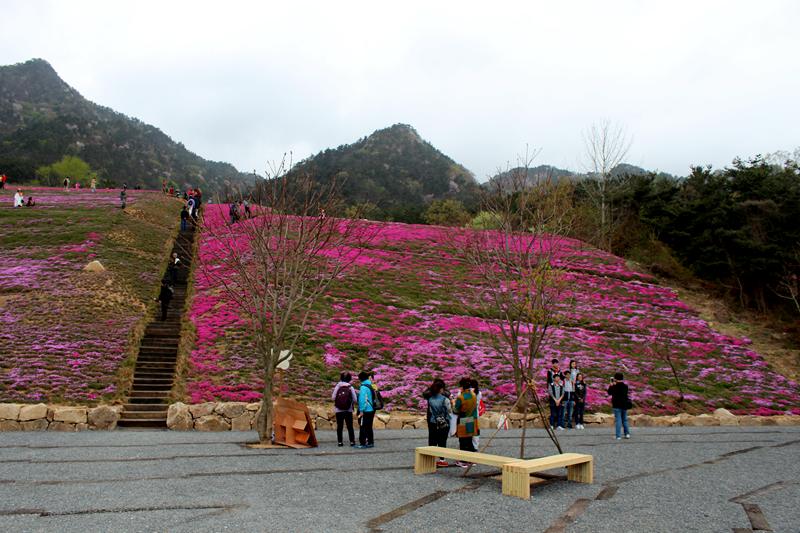 IMG_6281 - hao123ͼ.JPG