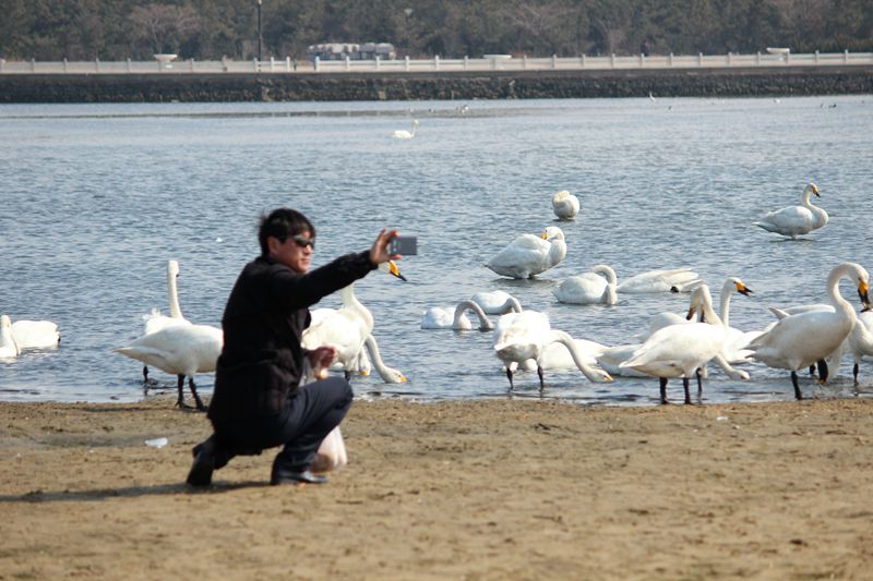 IMG_4441 - hao123ͼ.JPG