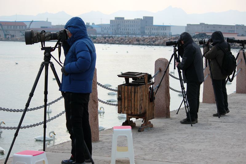 IMG_4586 - hao123ͼ.JPG