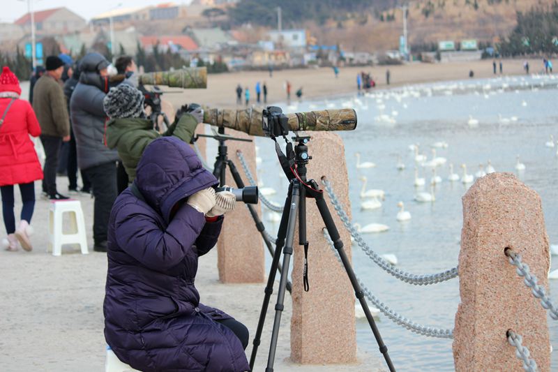 IMG_4589 - hao123ͼ.JPG
