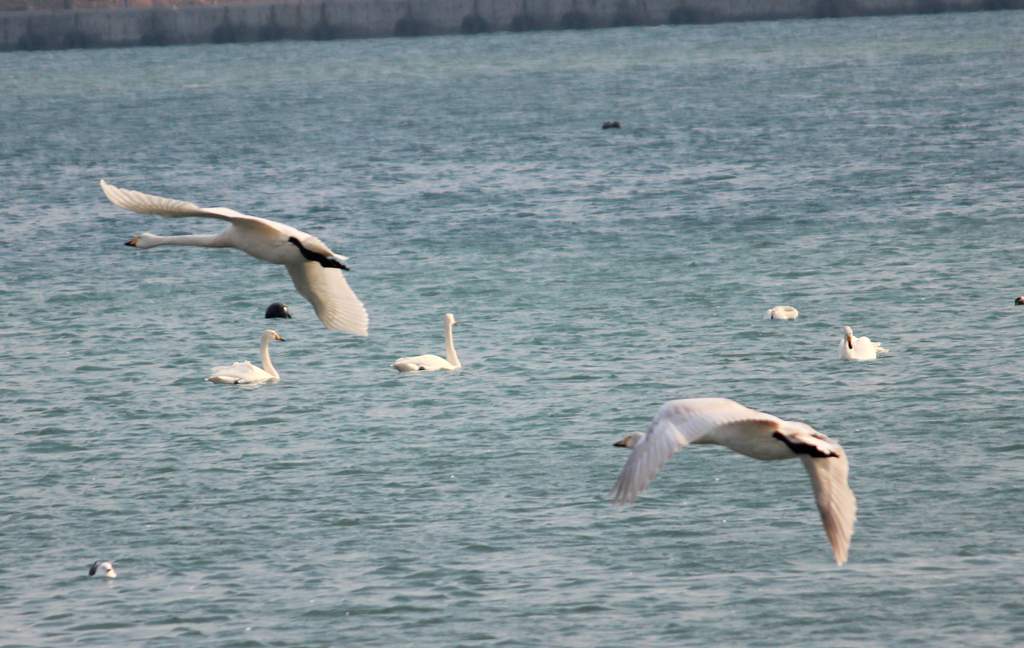 IMG_5050 - hao123ͼ.JPG
