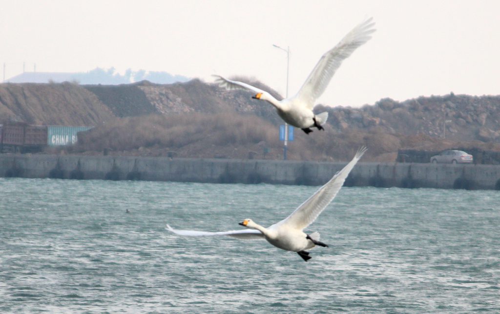 IMG_5253 - hao123ͼ.JPG