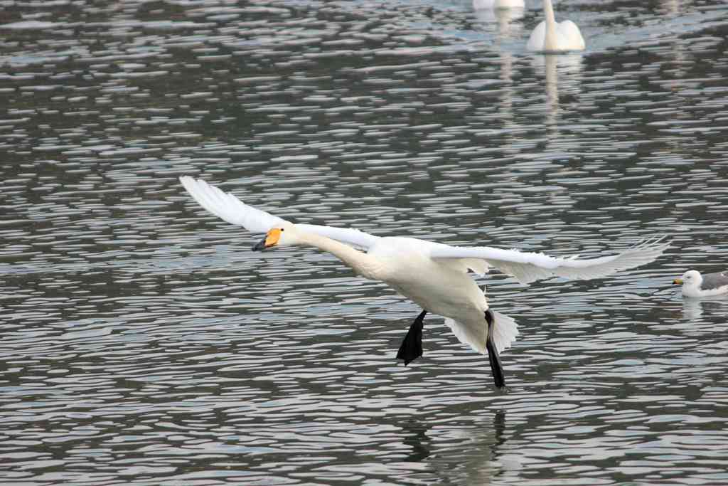 IMG_5218 - hao123ͼ.JPG