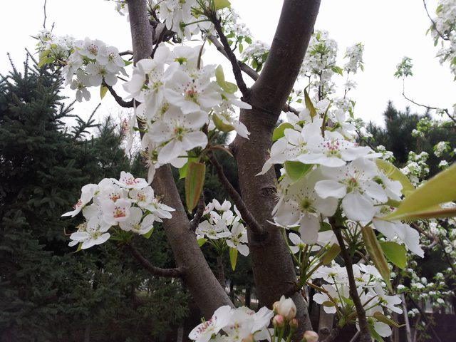 20140417_155833.jpg