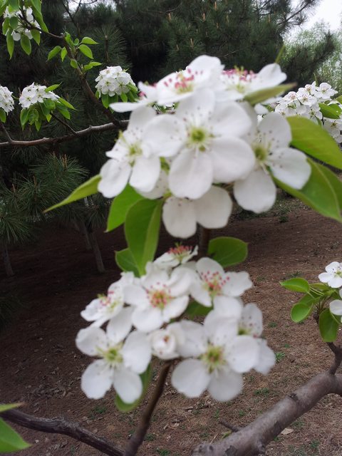 20140417_160129.jpg