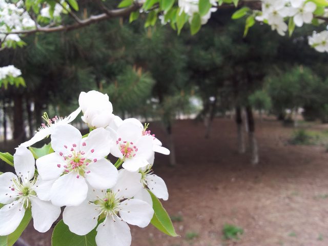 20140417_160146.jpg