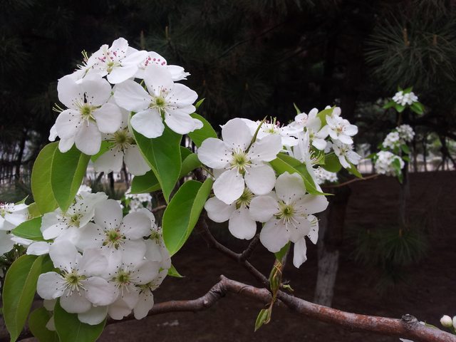 20140417_160208.jpg