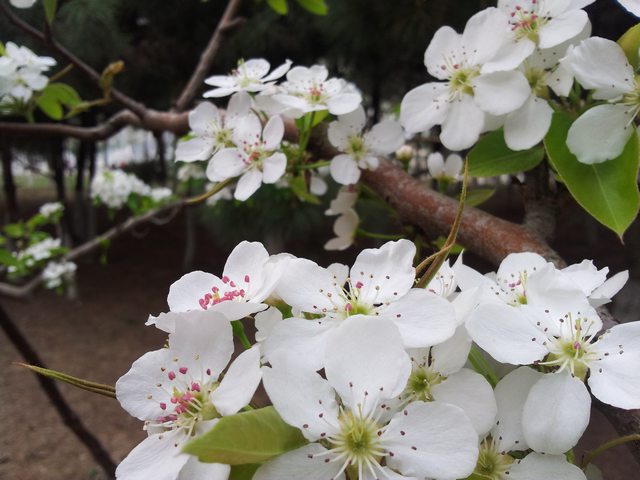 20140417_160235.jpg