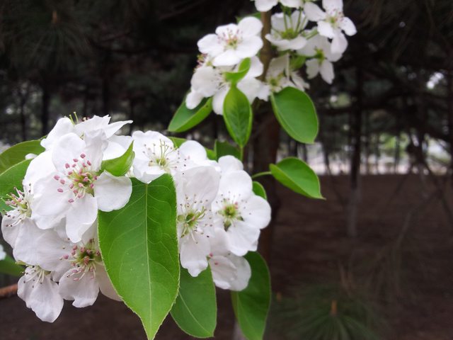 20140417_160247.jpg