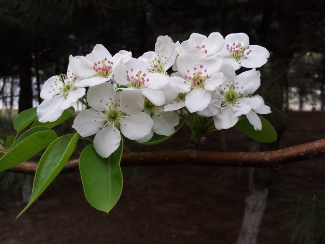 20140417_160300.jpg