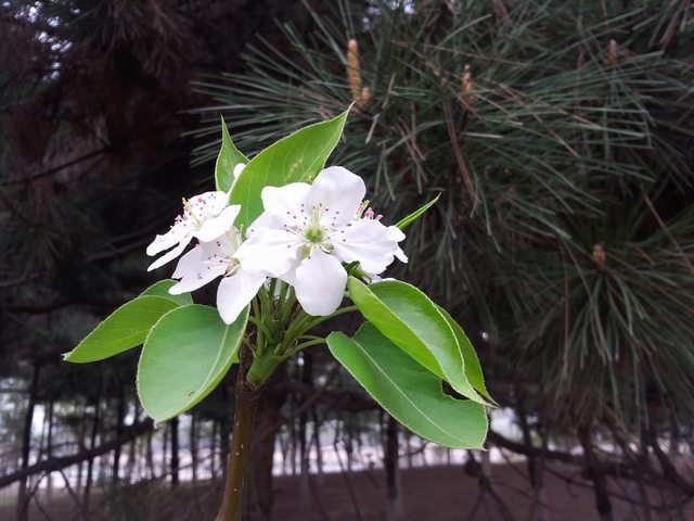 20140417_160308.jpg