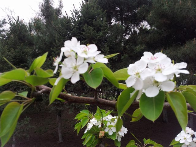 20140417_160449.jpg