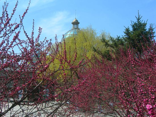 DSCN2613-3.jpg