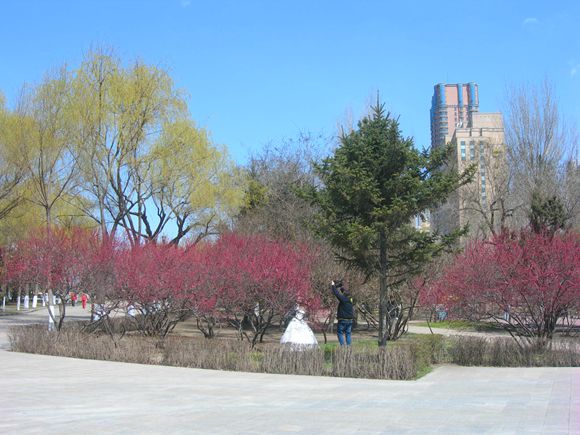 DSCN2633-3.jpg