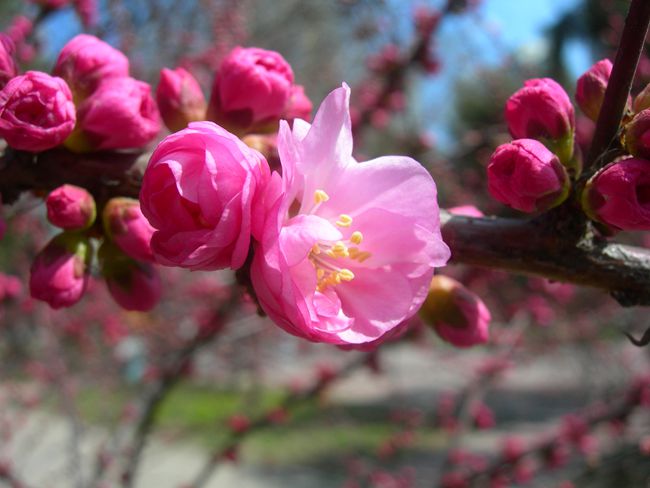 1-DSCN2588-3.jpg