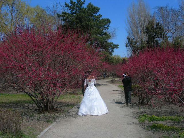 2-DSCN2625-3.jpg