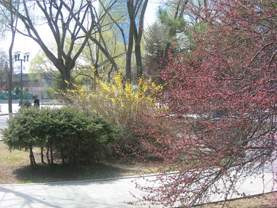 DSCN2570-3.jpg