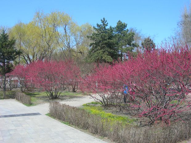 DSCN2691-3.jpg