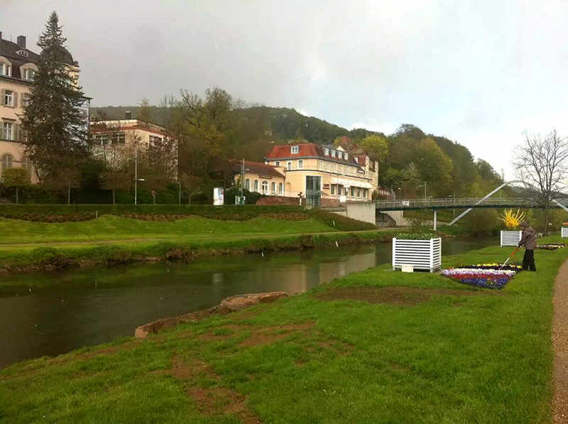 d8.jpg