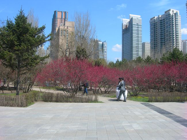 DSCN2631-3.jpg
