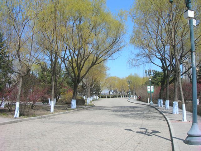 DSCN2636-3.jpg