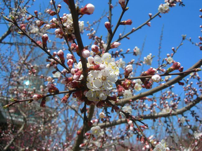 DSCN2657-3.jpg