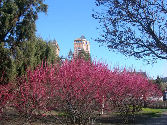 1-DSCN2717-3.jpg