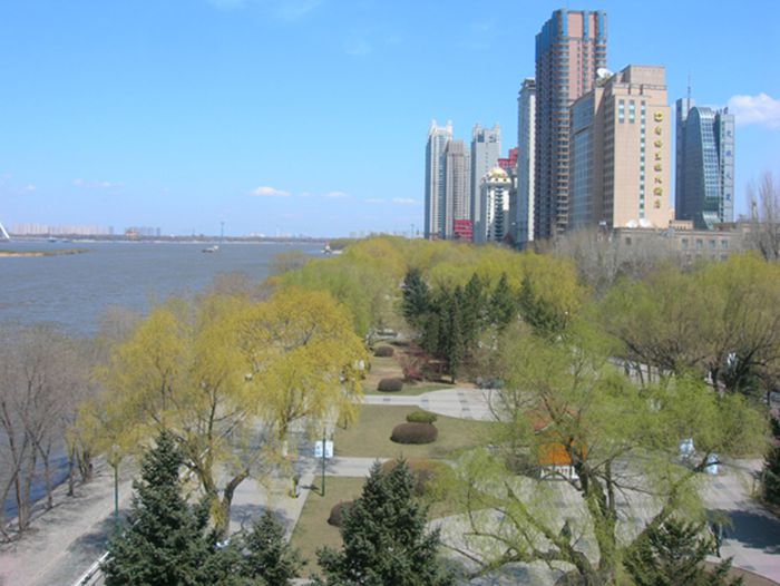 DSCN2650-3.jpg