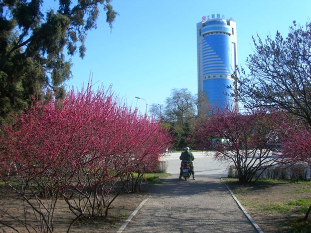 DSCN2714-3.jpg