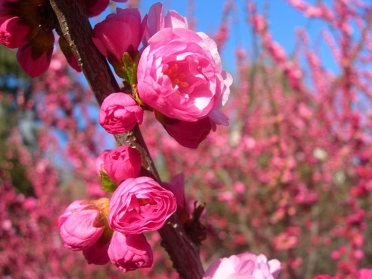 DSCN2725-3.jpg