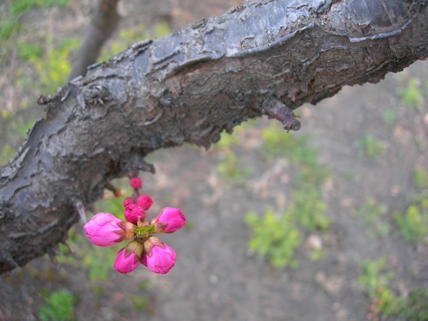 DSCN2804-3.jpg