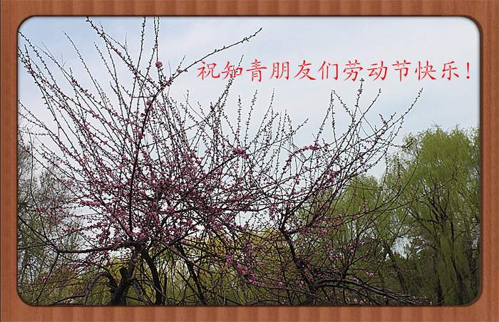 IMG_8891_.jpg