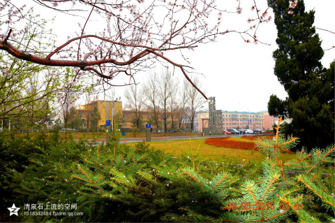 meitu.jpg