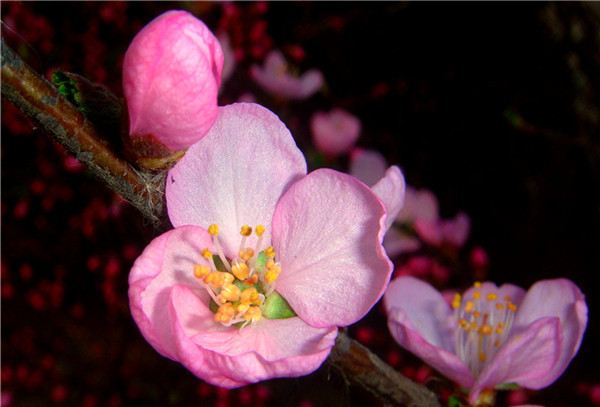 DSC00570_.jpg