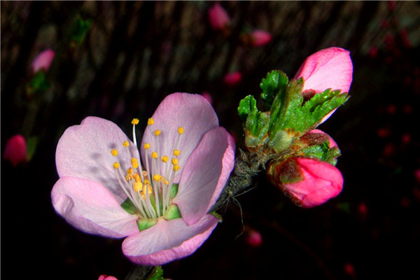 DSC00573_.jpg