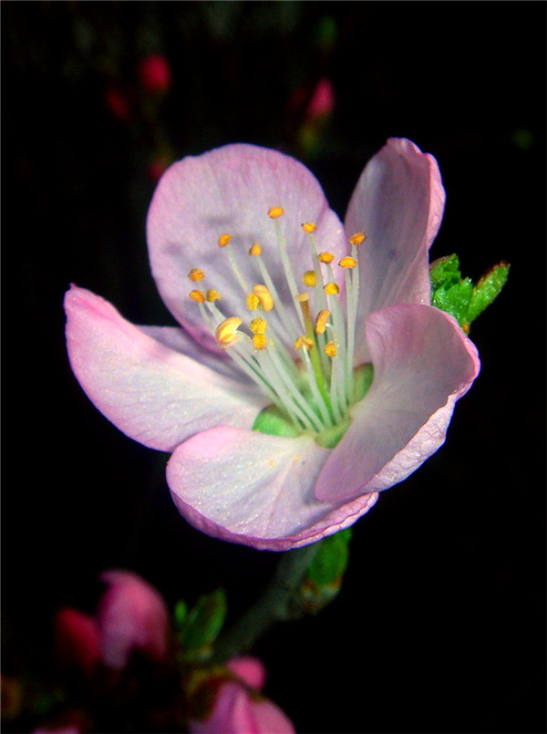 DSC00575_.jpg