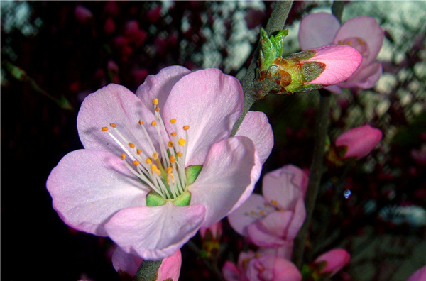 DSC00576_.jpg