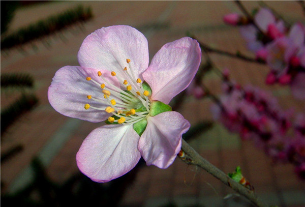 DSC00577_.jpg
