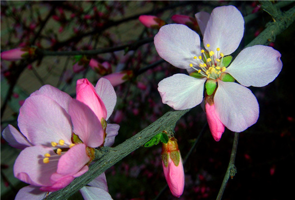 DSC00582_.jpg