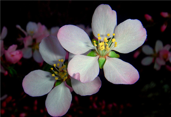 DSC00583_.jpg