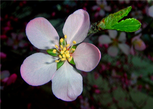 DSC00586_.jpg